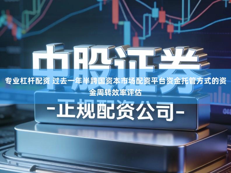 专业杠杆配资 过去一年半跨国资本市场配资平台资金托管方式的资金周转效率评估
