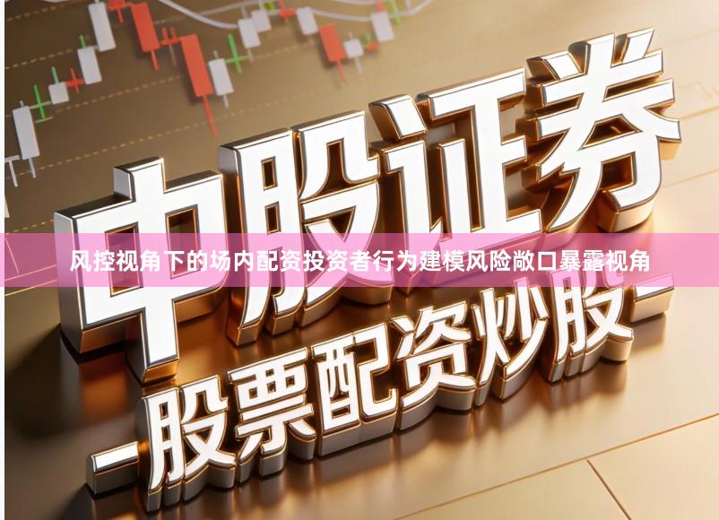风控视角下的场内配资投资者行为建模风险敞口暴露视角