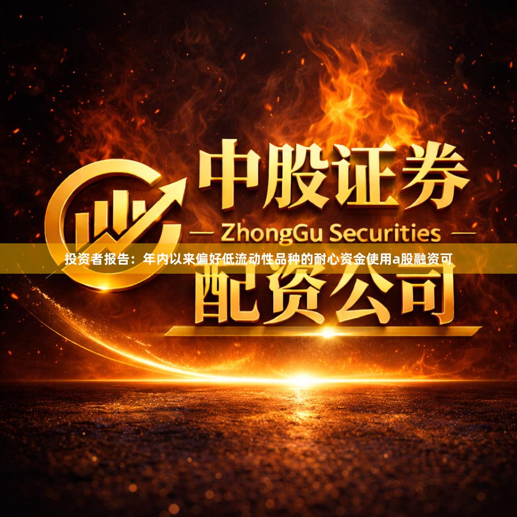 投资者报告：年内以来偏好低流动性品种的耐心资金使用a股融资可