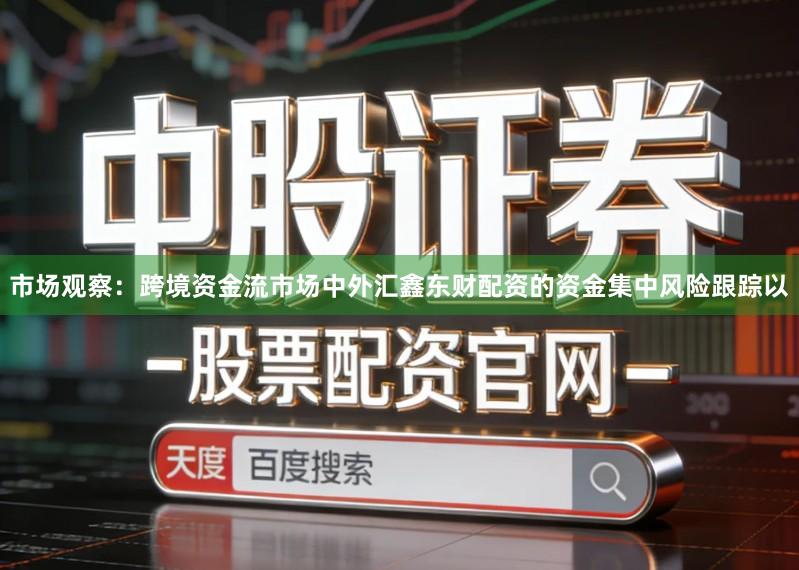市场观察:跨境资金流市场中外汇鑫东财配资的资金集中风险跟踪以