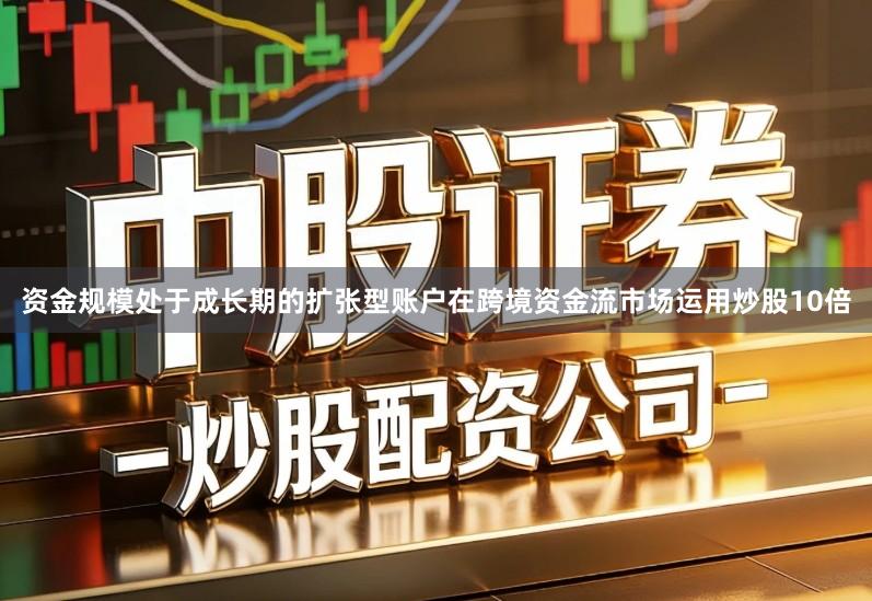 资金规模处于成长期的扩张型账户在跨境资金流市场运用炒股10倍